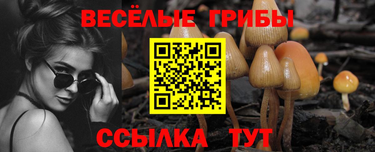 Галлюциногенные грибы Magic Shrooms  Галлюциногенные грибы Psilocybe  Вход с VPN  Кольчугино 