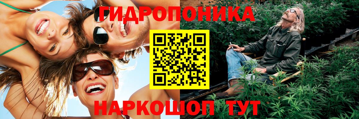 Марихуана план Кольчугино